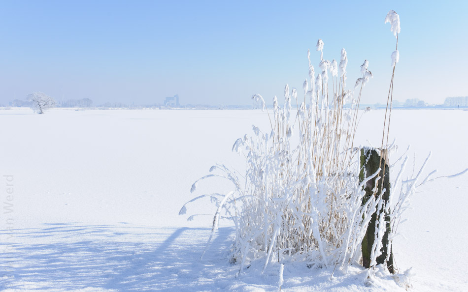 Winter 2012