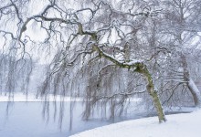 Januari 2015, beetje winter