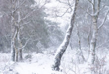 Winter 2026